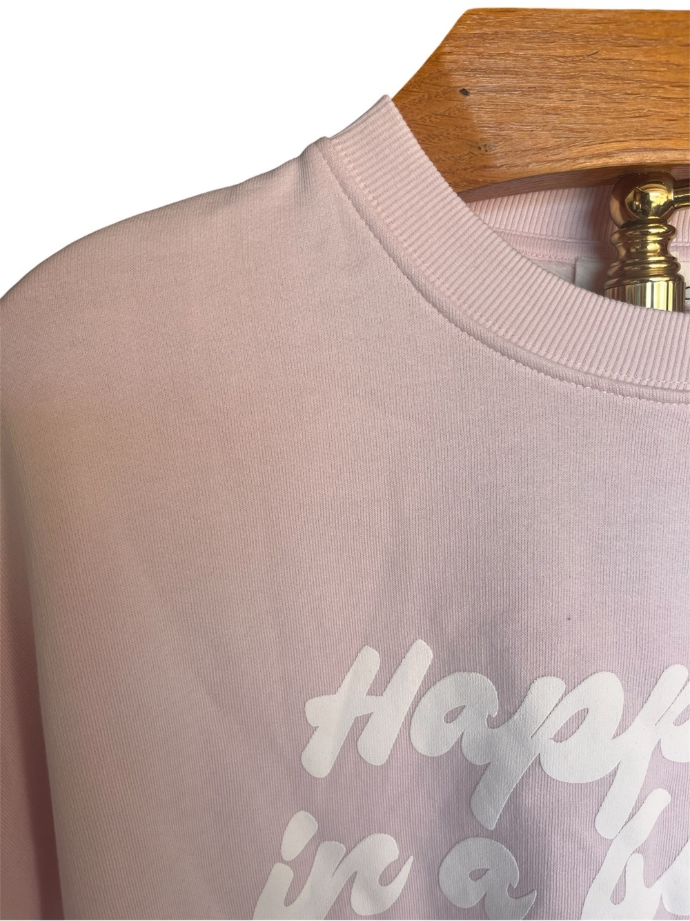 l*space Pastel Pink 'Happier in a Bikini' Oversized Crewneck Sweatshirt Medium - Picture 2 of 9